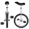 18in Wheel Unicycle Chrome